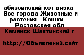 абиссинский кот вязка - Все города Животные и растения » Кошки   . Ростовская обл.,Каменск-Шахтинский г.